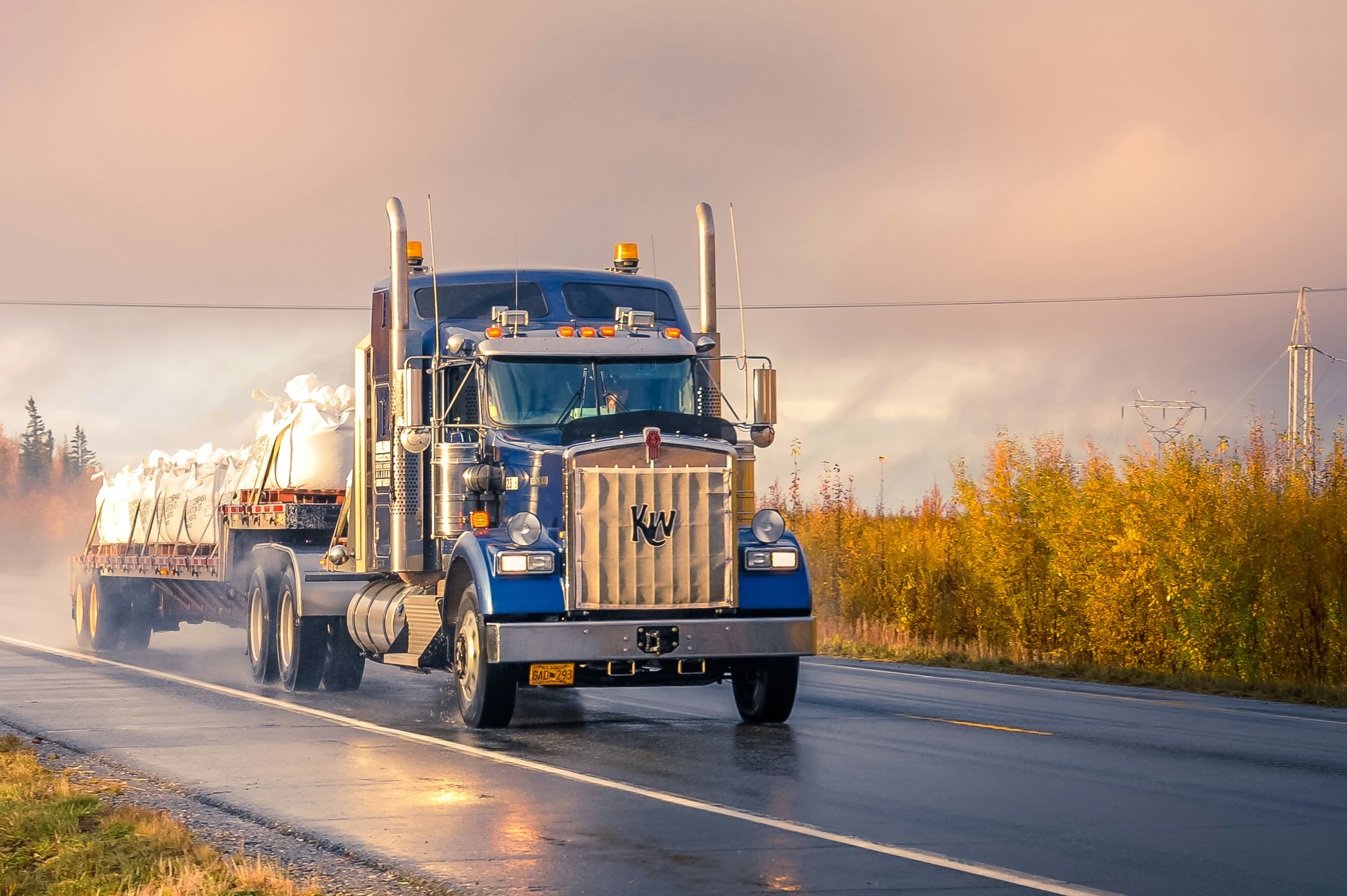 Globalink Logistics Background